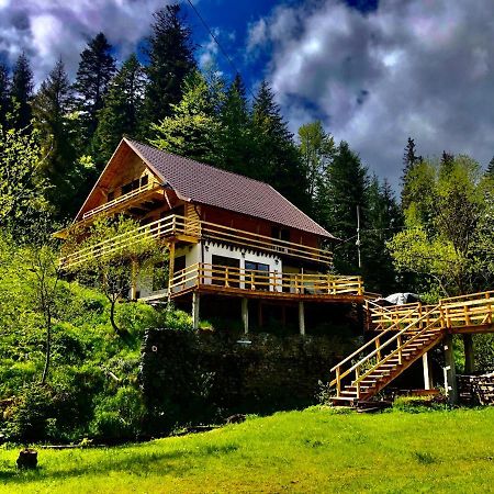 Cabana Cota 1000 Arieşeni Eksteriør bilde