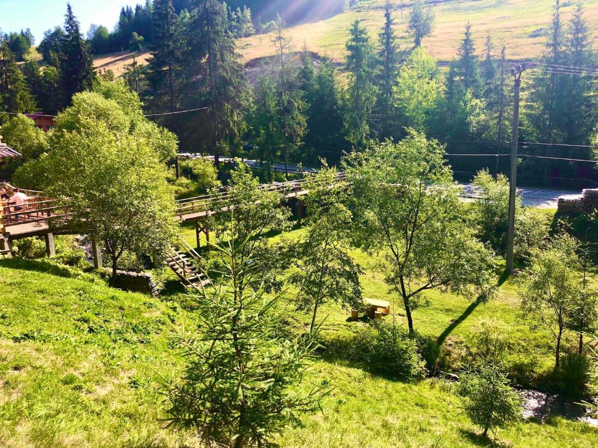 Cabana Cota 1000 Arieşeni Eksteriør bilde
