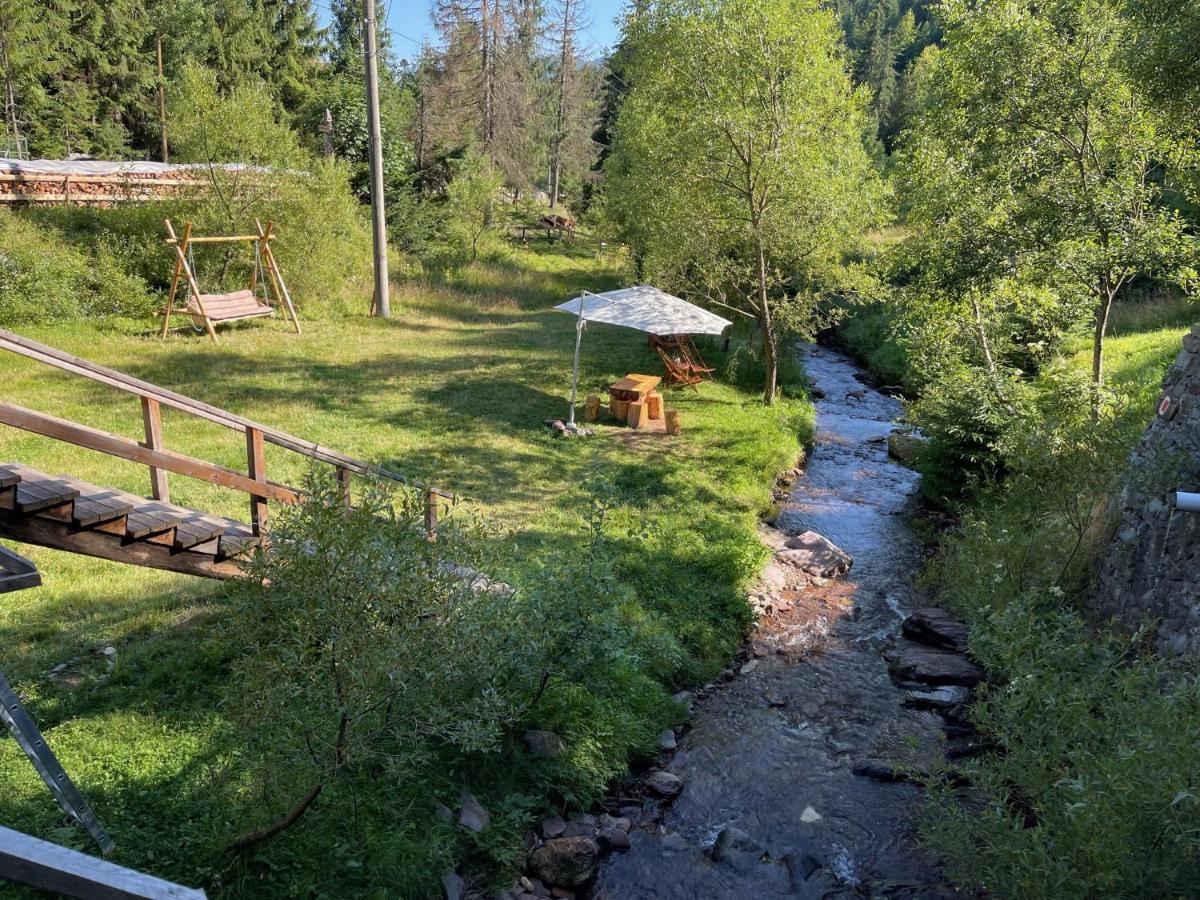 Cabana Cota 1000 Arieşeni Eksteriør bilde